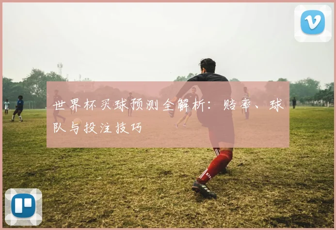 世界杯买球预测全解析:赔率、球队与投注技巧
